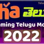 Upcoming Telugu Movies On Aha 2022