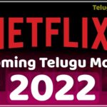 Upcoming Telugu Movies On Netflix 2022