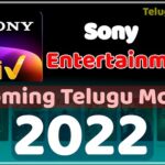 Upcoming Telugu Movies On SonyLiv 2022 new